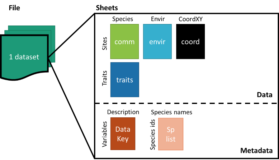 Dataset structure